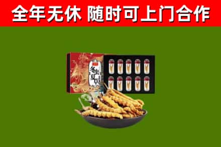 瑞丽市回收冬虫夏草价格